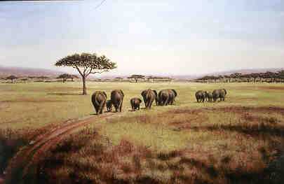 Elephant Road by Timothy Beacham Pricing Limited Edition Print image