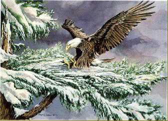 Winter Snow Landing by Bob Dunn Pricing Limited Edition Print image