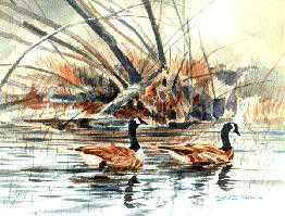 Canadian Geese by Bob Dunn Pricing Limited Edition Print image