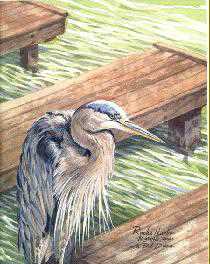 Roche Harbor Heron by Bob Dunn Pricing Limited Edition Print image