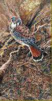 Pinecone Kestrel by Bob Dunn Pricing Limited Edition Print image