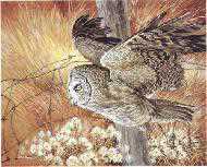 Great Gray Owl by Bob Dunn Pricing Limited Edition Print image