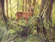 Rain Forest Surprise by Bob Dunn Pricing Limited Edition Print image