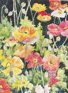 Spring Poppies by Cheryl St John Pricing Limited Edition Print image