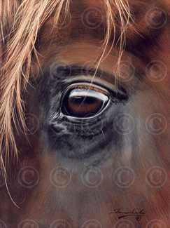 Through Charlies Eyes by Shannon Lawlor Pricing Limited Edition Print image