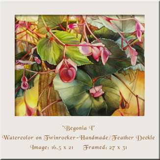 Begonia I by Nancy Meadows Taylor Pricing Limited Edition Print image
