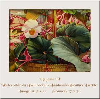 Begonia Ii by Nancy Meadows Taylor Pricing Limited Edition Print image