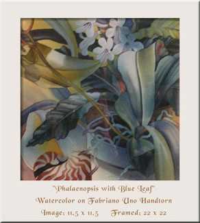 Phalaenopsis Blueleaf by Nancy Meadows Taylor Pricing Limited Edition Print image
