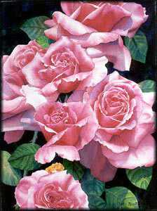 Roses Roses Roses by Diana Miller-Pierce Pricing Limited Edition Print image