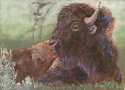 After Chase Buffalo by Pat Snelling-Weiner Pricing Limited Edition Print image