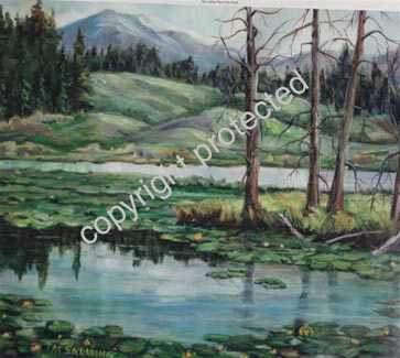 Union Pass Lily Pond by Pat Snelling-Weiner Pricing Limited Edition Print image