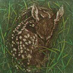 New Born Fawn by Kathleen Cantin Pricing Limited Edition Print image