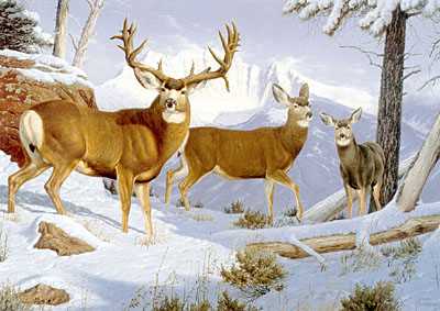 Snow Basin Muleys by Tom Mansanarez Pricing Limited Edition Print image