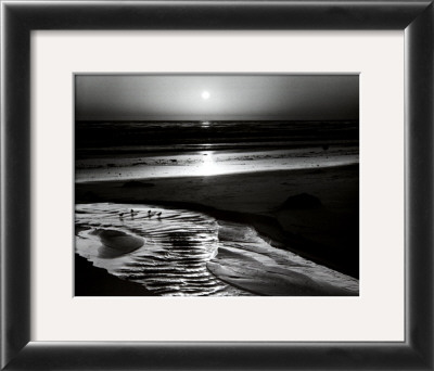 Birds On A Beach by Ansel Adams Pricing Limited Edition Print image