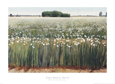 Field Of Onions by Gary Ernest Smith Pricing Limited Edition Print image