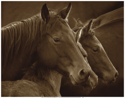 Tenderness by Tony Stromberg Pricing Limited Edition Print image