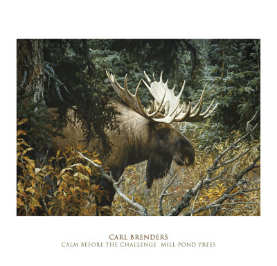 Calm Before The Challenge by Carl Brenders Pricing Limited Edition Print image