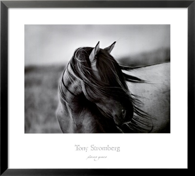 Fierce Grace by Tony Stromberg Pricing Limited Edition Print image
