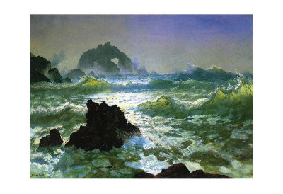 Seal Rock by Albert Bierstadt Pricing Limited Edition Print image