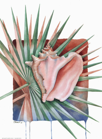 Palmettoqueen Conch by Paul Brent Pricing Limited Edition Print image