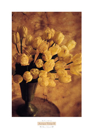 Antique Tulips Ii by Thea Schrack Pricing Limited Edition Print image