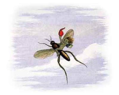 Flying Away by Richard Doyle Pricing Limited Edition Print image
