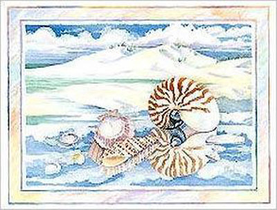 Shoreline  Nautilus by Paul Brent Pricing Limited Edition Print image