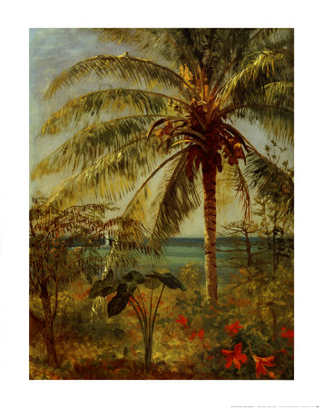 Palm Tree, Nassau by Albert Bierstadt Pricing Limited Edition Print image