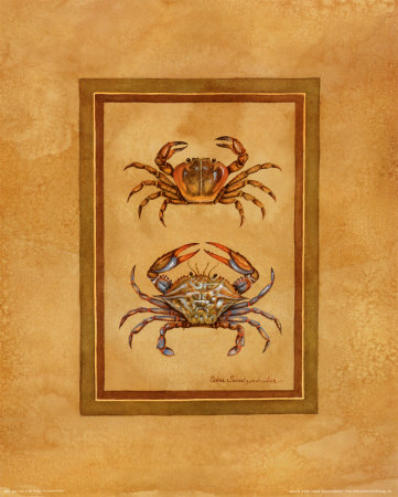 Sea Crab Ii by Debra Swartzendruber Pricing Limited Edition Print image