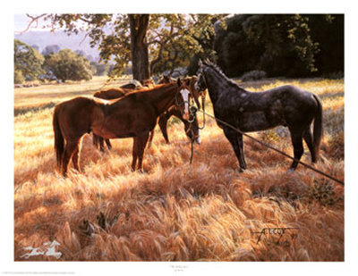 Picket Line-Uns by Tim Cox Pricing Limited Edition Print image