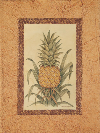 Plantation Pineapple Ii by Debra Swartzendruber Pricing Limited Edition Print image