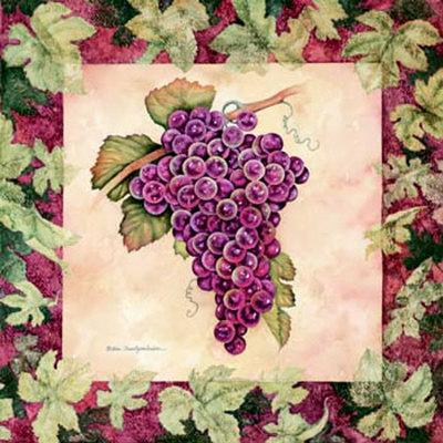 Vitis Vinifera Ii by Debra Swartzendruber Pricing Limited Edition Print image