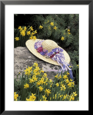 Hat And Daffodils, Louisville, Kentucky, Usa by Adam Jones Pricing Limited Edition Print image