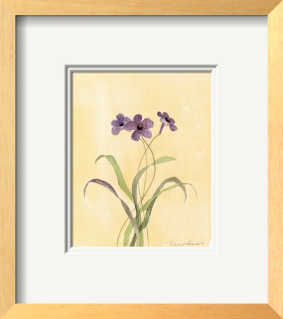 Flower Lavande Ll by Peggy Abrams Pricing Limited Edition Print image