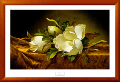 Magnolias On Gold Velvet Cloth by Martin Johnson Heade Pricing Limited Edition Print image