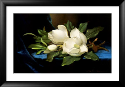 Giant Magnolias On A Blue Velvet Cloth by Martin Johnson Heade Pricing Limited Edition Print image
