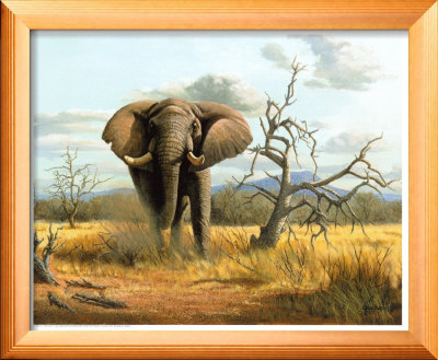 Charging Elephant by Clive Kay Pricing Limited Edition Print image