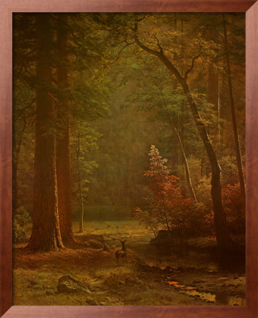 Dogwood I by Albert Bierstadt Pricing Limited Edition Print image