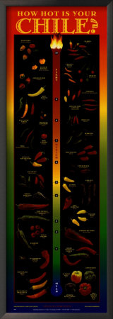 How Hot Is Your Chile? by Mark Miller Pricing Limited Edition Print image