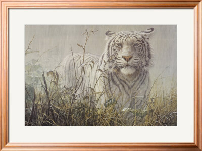 Monsoon- White Tiger (Detail) by John Seerey-Lester Pricing Limited Edition Print image
