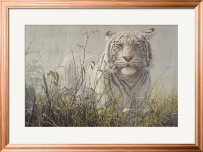 Monsoon- White Tiger (Detail) by John Seerey-Lester Pricing Limited Edition Print image