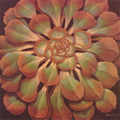 Succulent Ii by Janet Kruskamp Pricing Limited Edition Print image