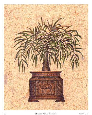 Moroccan Palm Ii by Steve Butler Pricing Limited Edition Print image