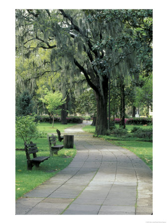 Charleston, South Carolina, Usa by Adam Jones Pricing Limited Edition Print image