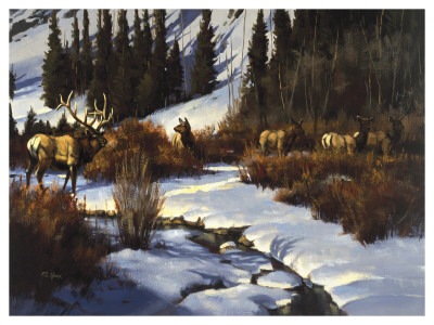 Winter Range Elk by Paco Young Pricing Limited Edition Print image
