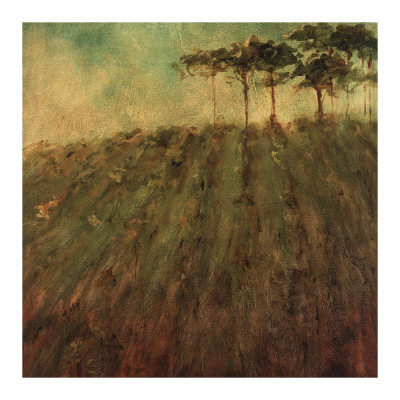 Vineyard Hill by Art Fronckowiak Pricing Limited Edition Print image