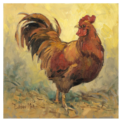 Rooster Rules I by Barbara Mock Pricing Limited Edition Print image
