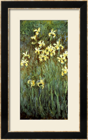 Yellow Irises by Claude Monet Pricing Limited Edition Print image