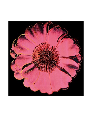 Flower For Tacoma Dome, C. 1982 (Black & Pink) by Andy Warhol Pricing Limited Edition Print image