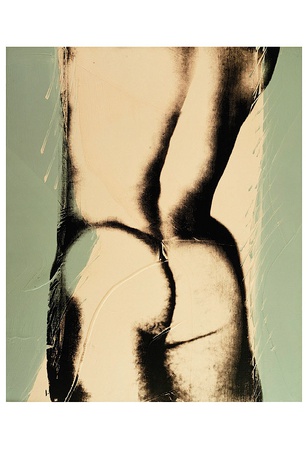 Torso From Behind, C.1977 by Andy Warhol Pricing Limited Edition Print image